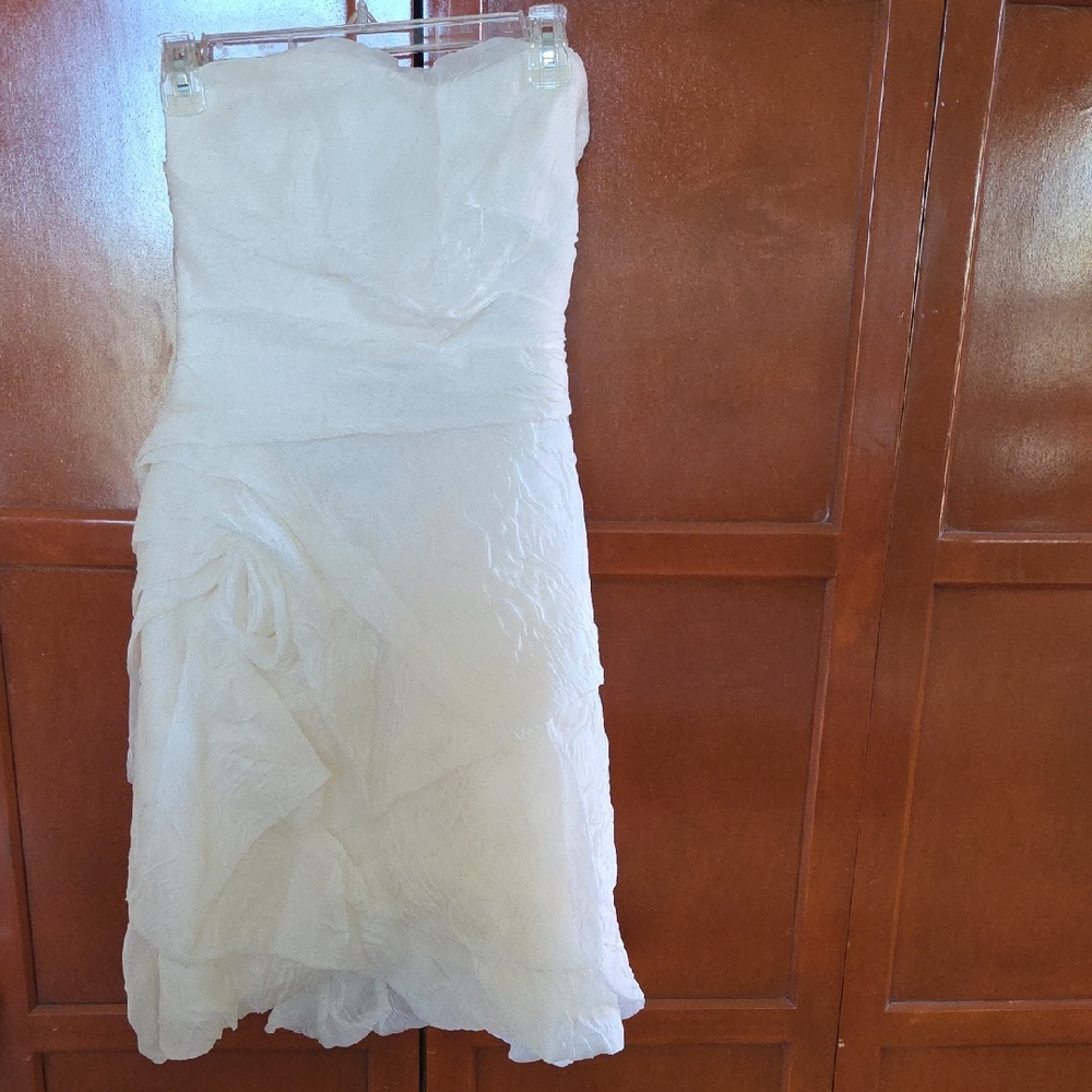 Monique Lhuillier Strapless Dress